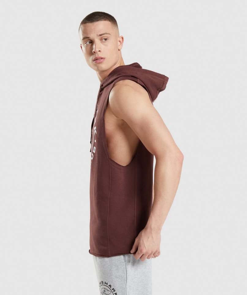 Men's Gymshark Legacy Drop Arm Hoodie Brown | CA 03561D